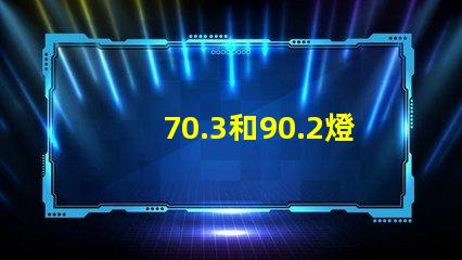 70.3和90.2燈珠哪個好 sFN60燈珠和70.3哪個好
